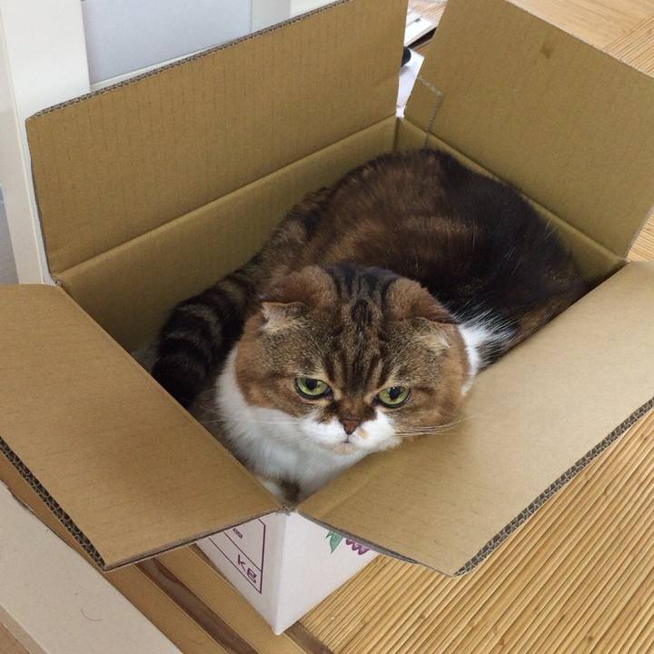 44744e12 180a 484d 9367 fdfb3913290a