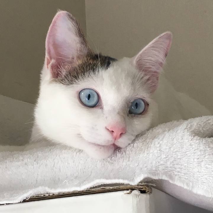 44746568 e6da 4b25 8ed2 7402b3ee5fbf