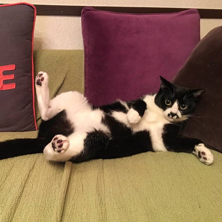 4474b98b e2a6 45cb 8948 35cd12dbd948