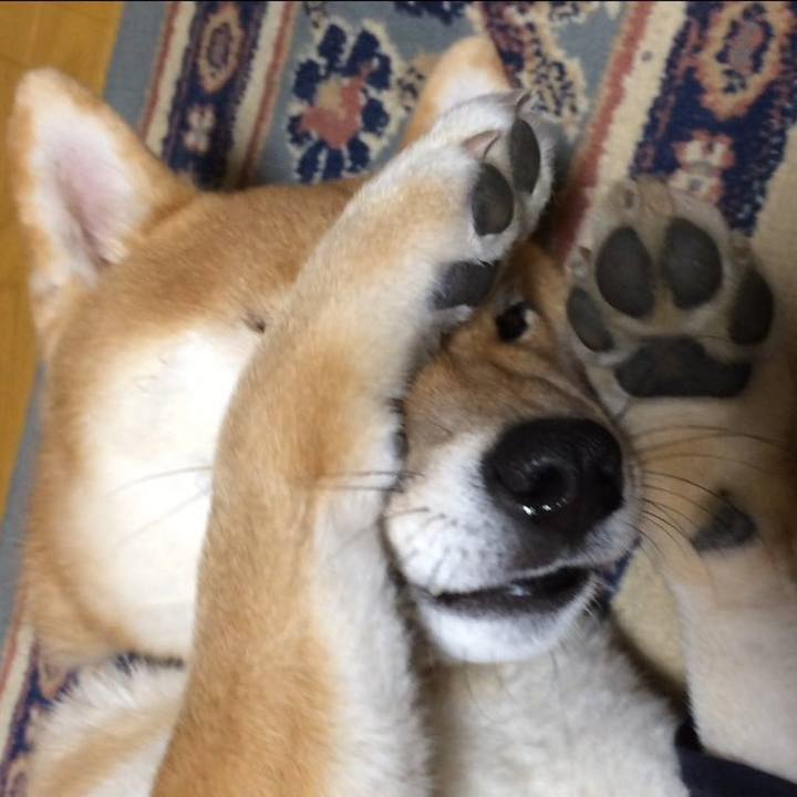 44750718 421e 4bd1 b78c 1103dbb2d5e0