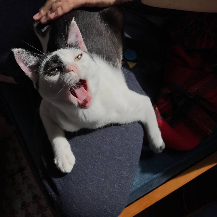 44756f2f c16f 4b2b a812 75a20e599442