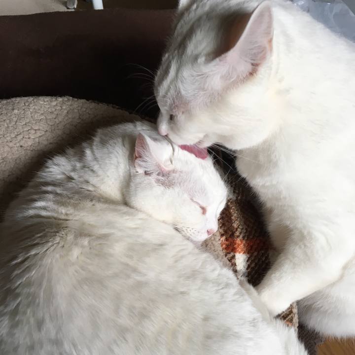 4475b4fe 49a8 4f19 935d 637b0d00aa37