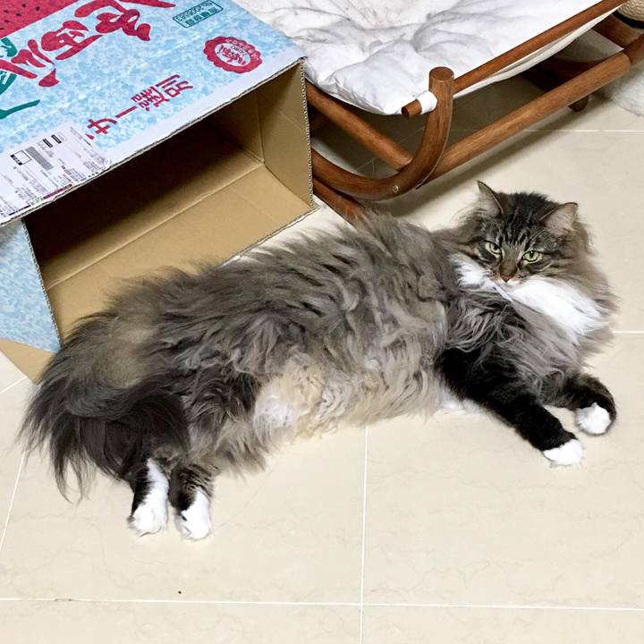 4475eb7b e32f 4099 8d98 984a35451293