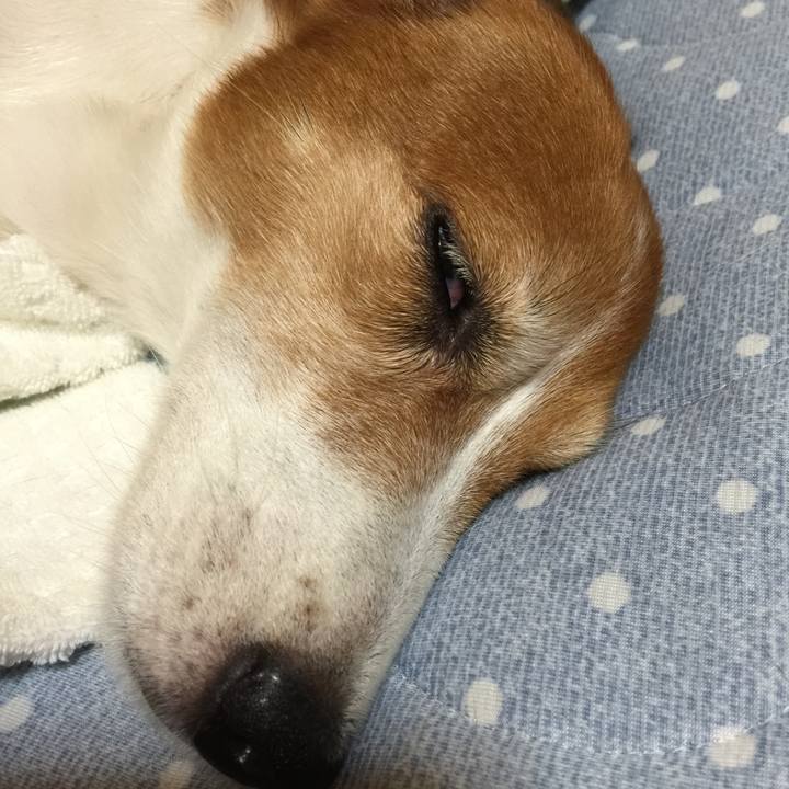 44764513 5a70 4a31 91e1 8720e53372a6