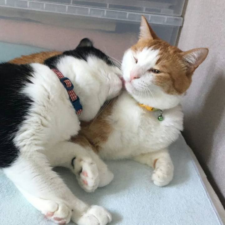 447659f8 c719 47cb a4ad 33b098c53642