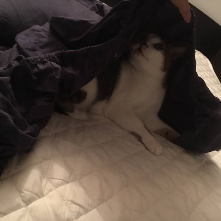 447673f4 6dcc 47a1 b3ae d01b819bfdfa