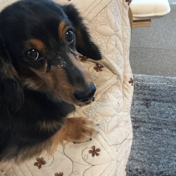 4476a19a e5fa 41e7 81d4 296e7b42b8f9