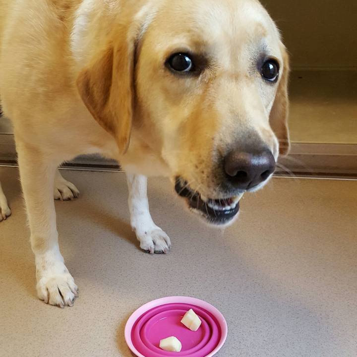 4476f0f1 c45f 4a4b 8a77 af70a4d294d1