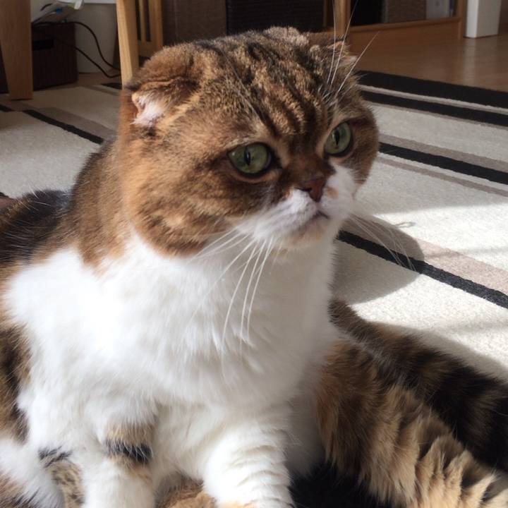 44777bb3 0ce2 40a7 bc02 1d152bb0e3ac