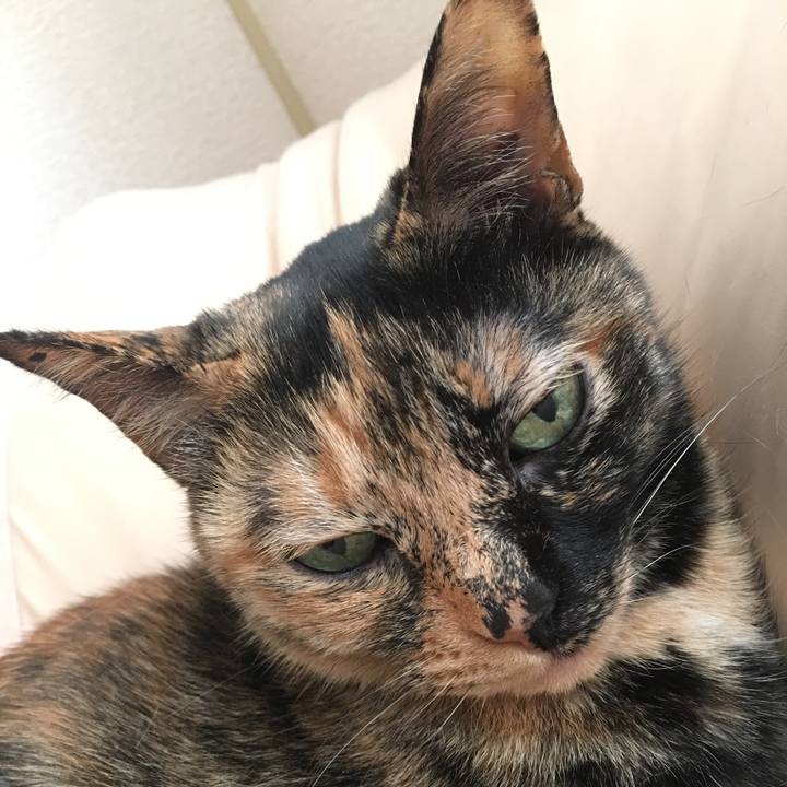 44778c4f 42d3 4626 b188 86b14a9bb321