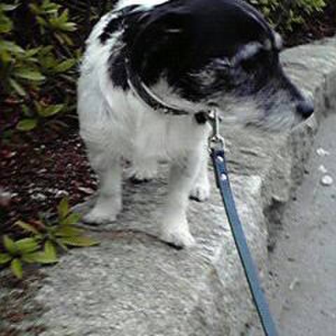 4477c176 0f5a 4a2a 9d19 6fc2558f7ff1