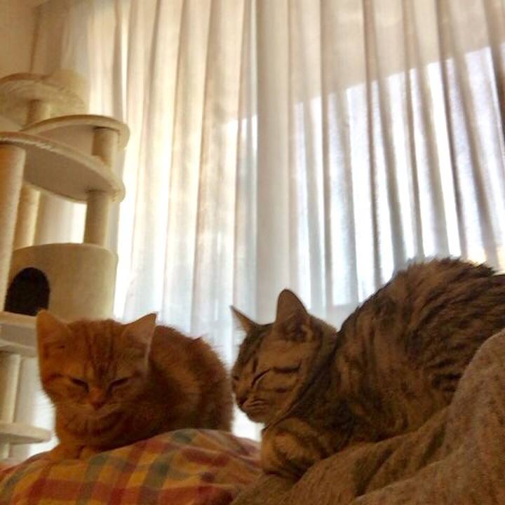 4477f11d 8253 4707 8307 f8f6f0a1af6d