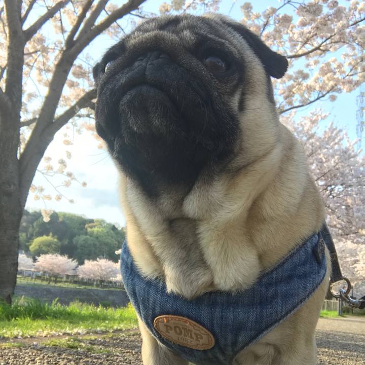 44788ade 462a 4e9a bc5b c9fd3b9b8981