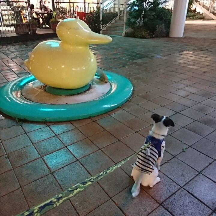 4479def3 eec7 4939 9992 55ffb9af30a6