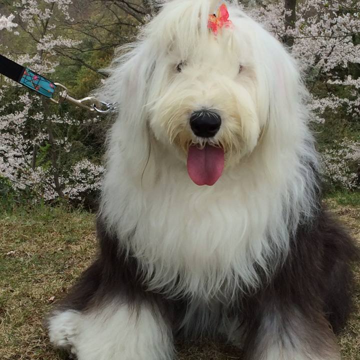 447aa949 88cf 4b95 8bf6 ae47064d7b47