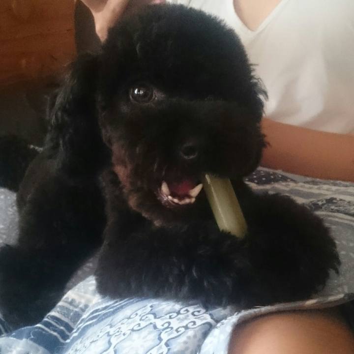 447acf2a 3dc6 473f b464 2f0c038ced4c