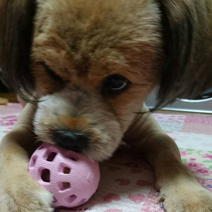 447b3cb8 a8a9 41be a6cf 6fddf1d2c0fd