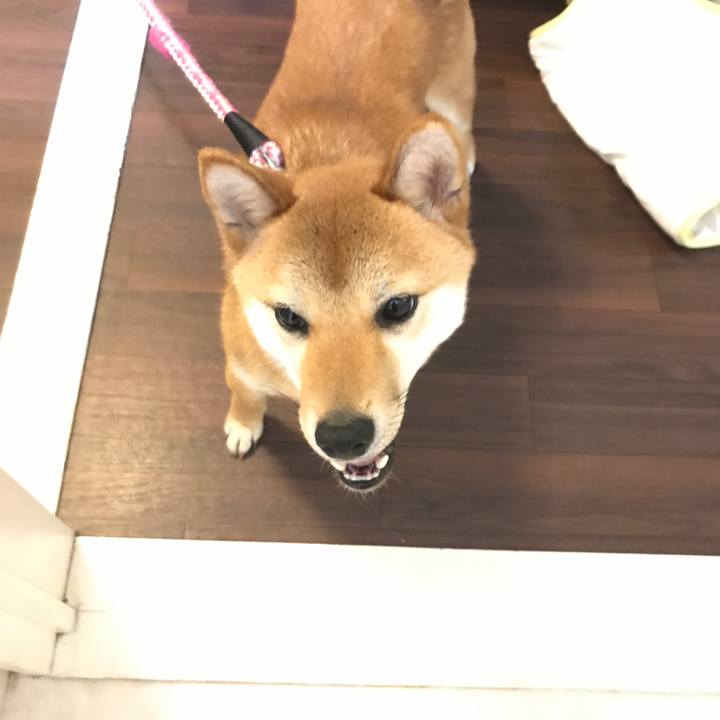 447bba39 9dac 4aeb a860 2cf3aa09cc4a