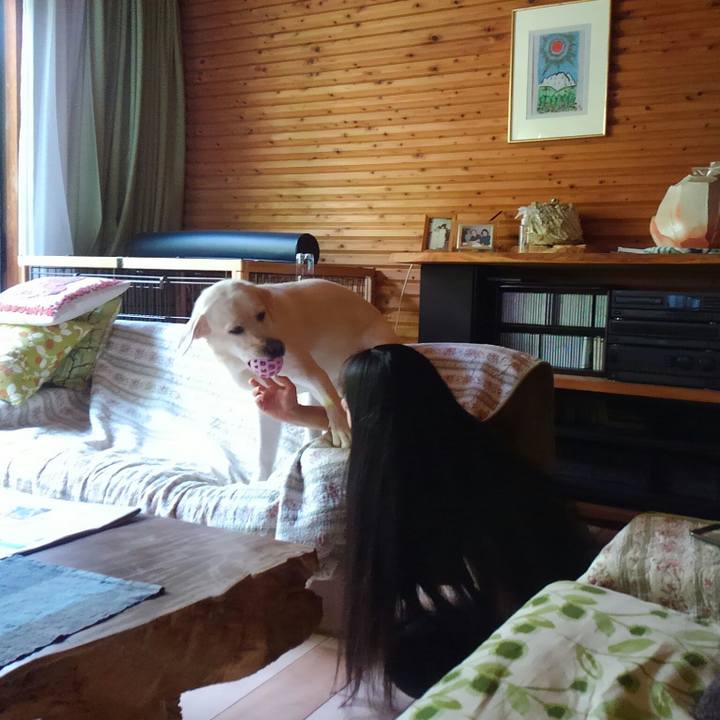 447bea1d ba8d 44ee 932b 89ce9a960a4e