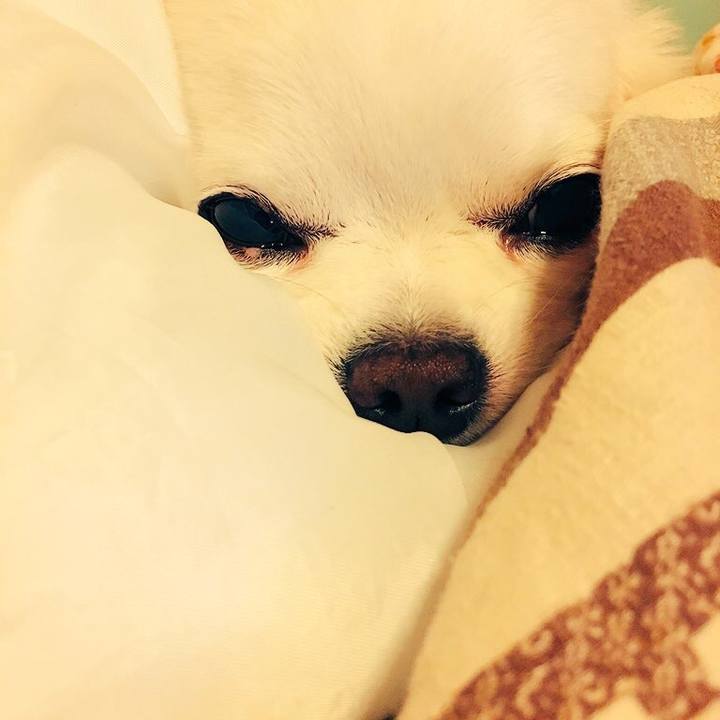 447c2878 c9eb 429d a5de 958c4b53bfeb