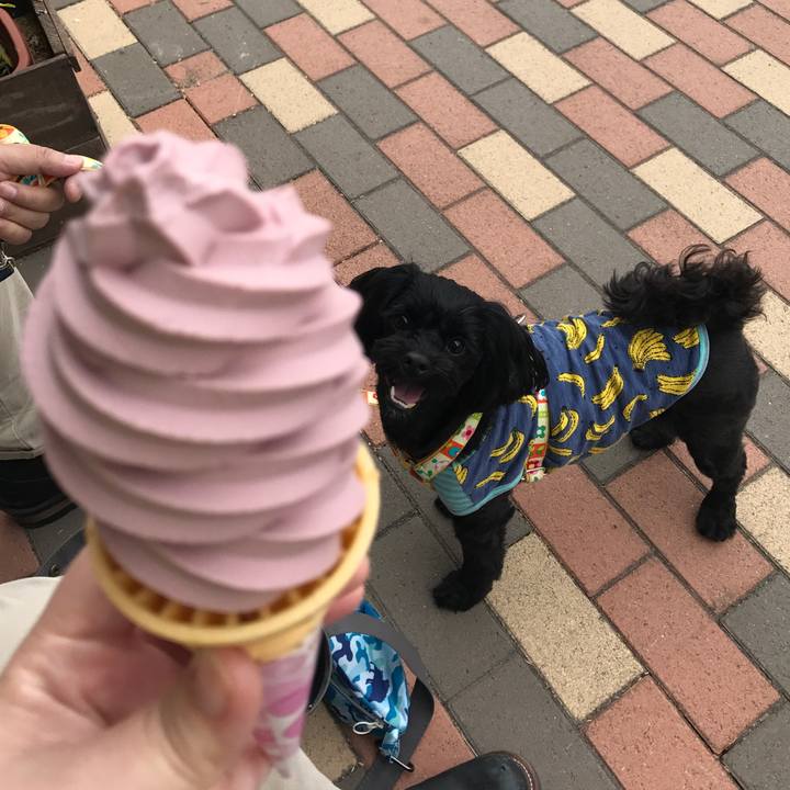 447c4a29 c5a3 4302 b49d 7c9167185df0