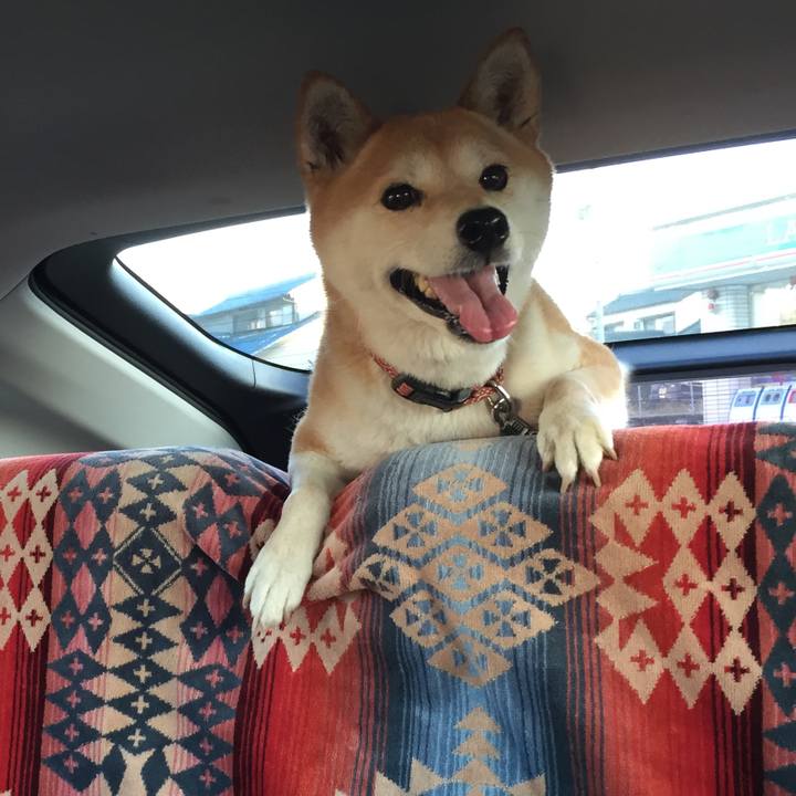 447cc5f6 0be0 45b5 849c 888457beda66