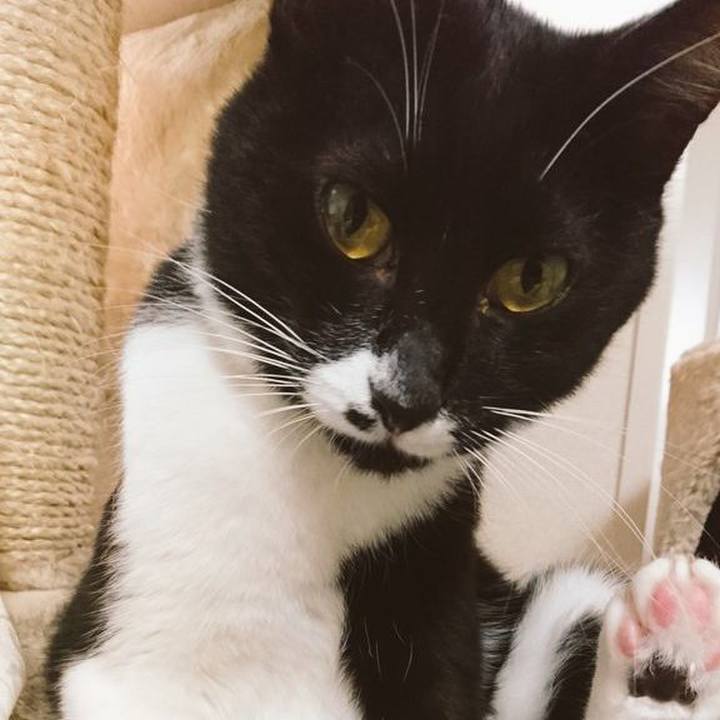 447d18cb 43c4 46eb a46e 362909f58315