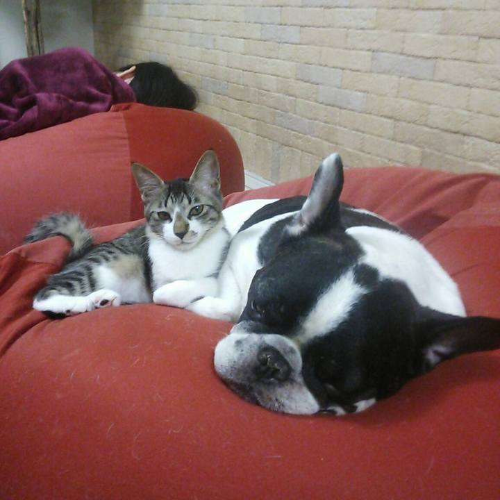 447d8eaa 2cc0 4688 a261 e3b4f58848de