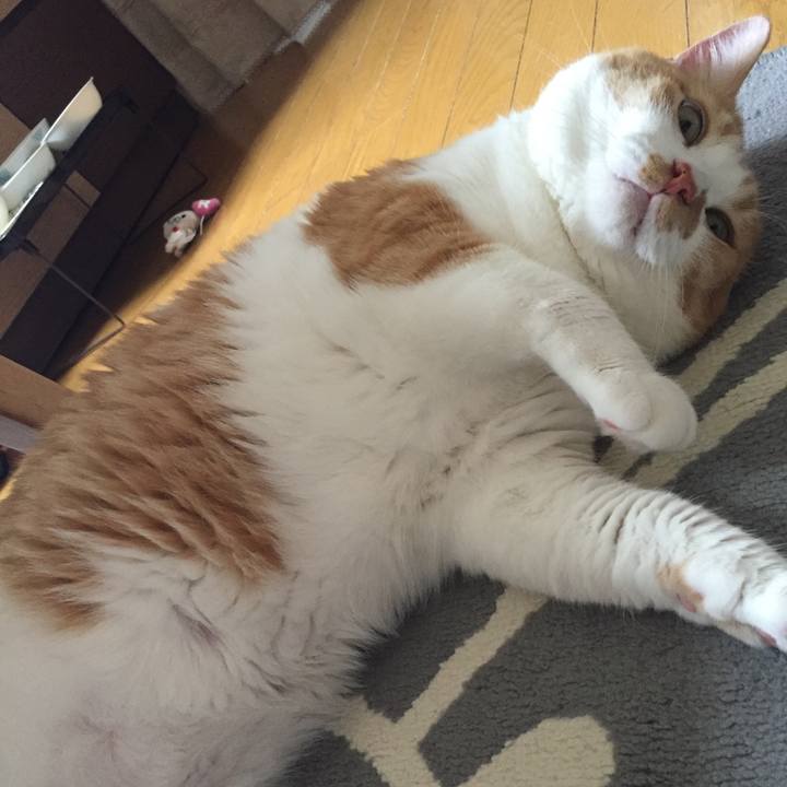 447e2f0a 538c 417a 8b01 12c6919938de