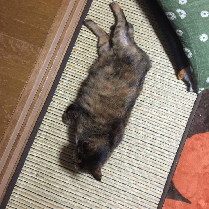 447ecad3 df67 4707 a931 e6d2f232abef