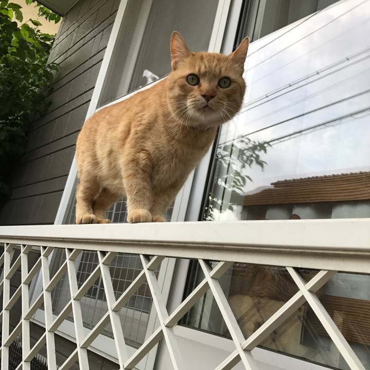 447efcdd ea0c 4aaa 9334 b39a51456aab