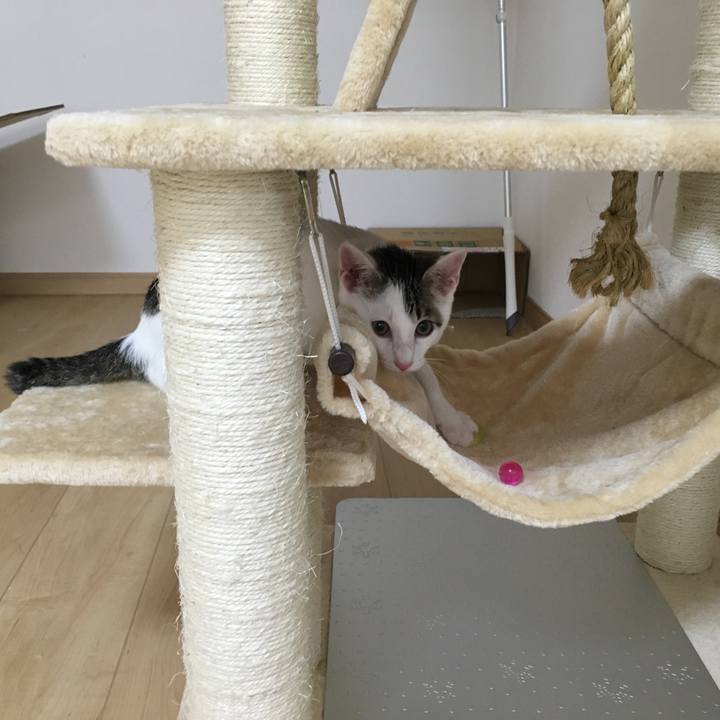 447f0e58 827a 4821 b97c 8f771fba5c30