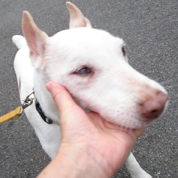 447fd5c6 bcee 4b8f 98bf 9ce4d6049e40