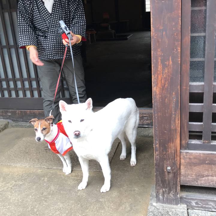 447ff26b 4317 411e a395 e1c92e9cfd68