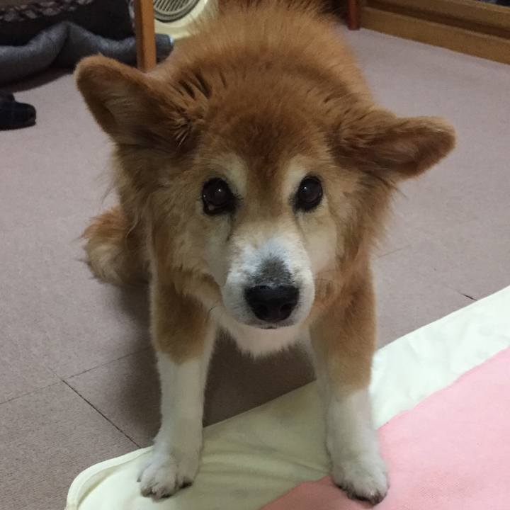 448074c4 40b6 4145 b956 5525abe91f71