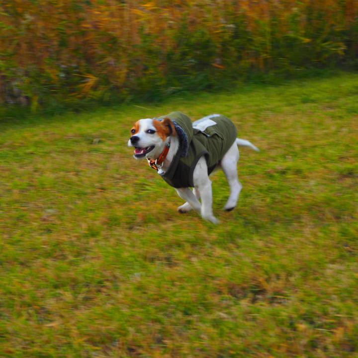 4480f3f3 ae66 4a0f bd82 f77895e9da50