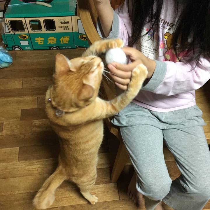 44811d98 f984 4cdf 9f03 efb9fe7a927c