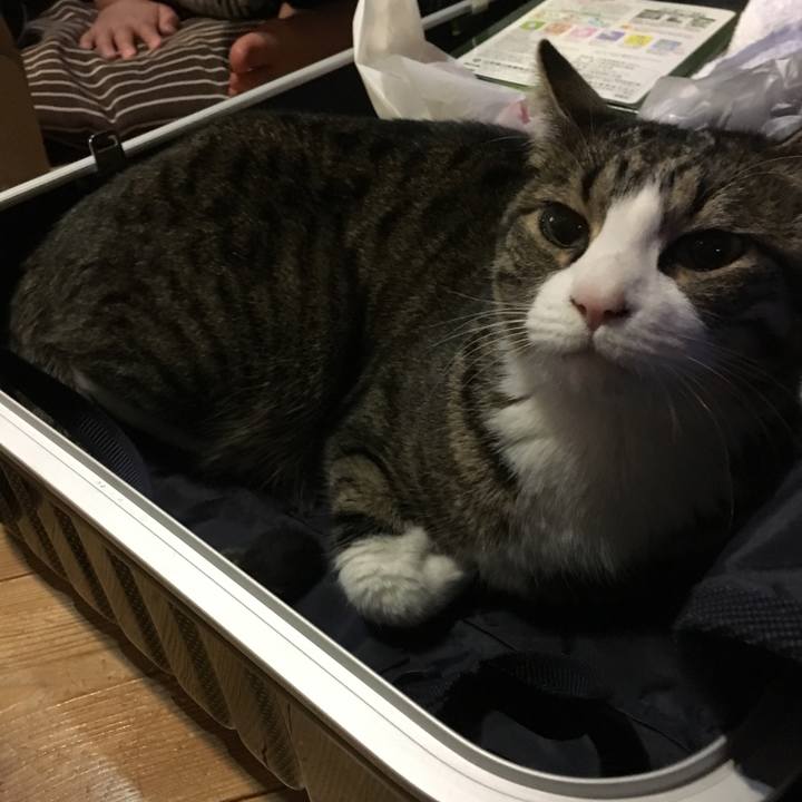 448121c4 95a3 4592 8393 e5a97eee437b