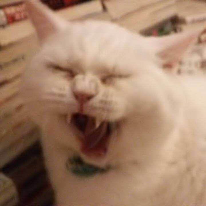 44816f5a 5f18 47ad 9fda 1d8eef6080eb