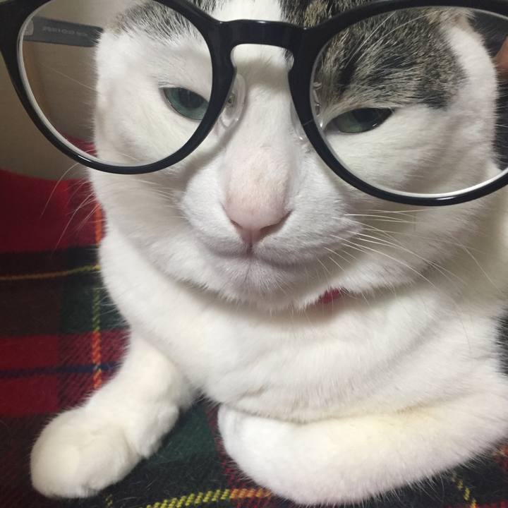 44818ce0 59cc 4a93 860e f4c8486b4b89