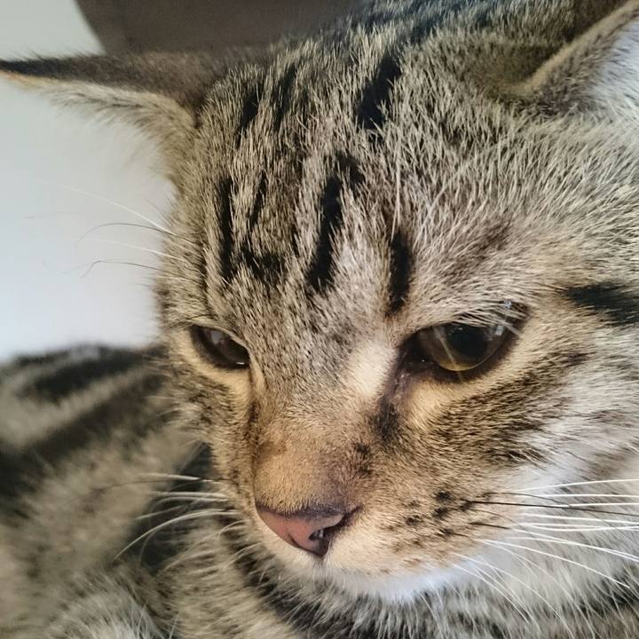 4481cc6e 31cb 4775 b3d9 67988fca5d55