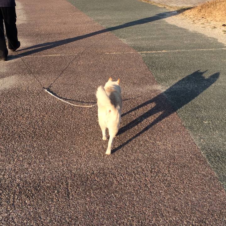 4482344b 39fb 4e44 bfb0 0dc57b78bb91