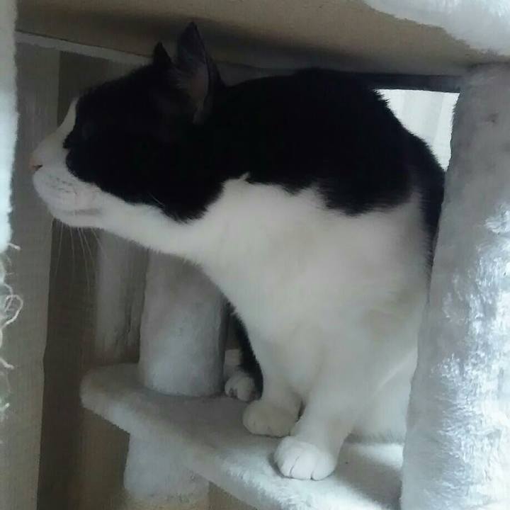 44826eb1 a69f 4a92 a0de c674677a8232