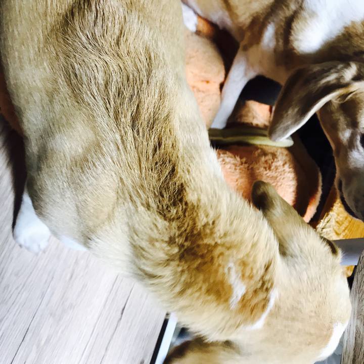 4482da56 f769 4145 b6fb 2ffe33616313