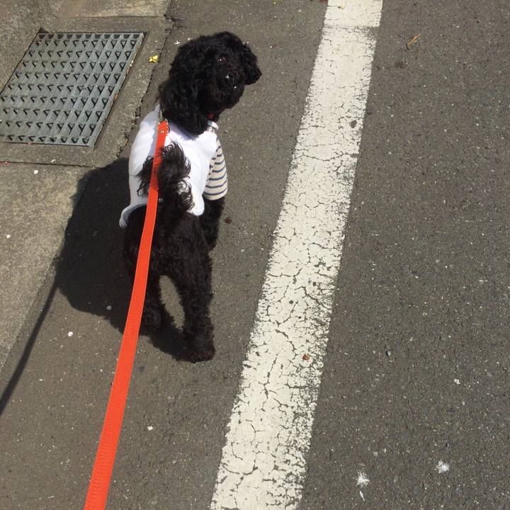 448337f8 9ab2 4442 a3d0 c88e7258dc6c