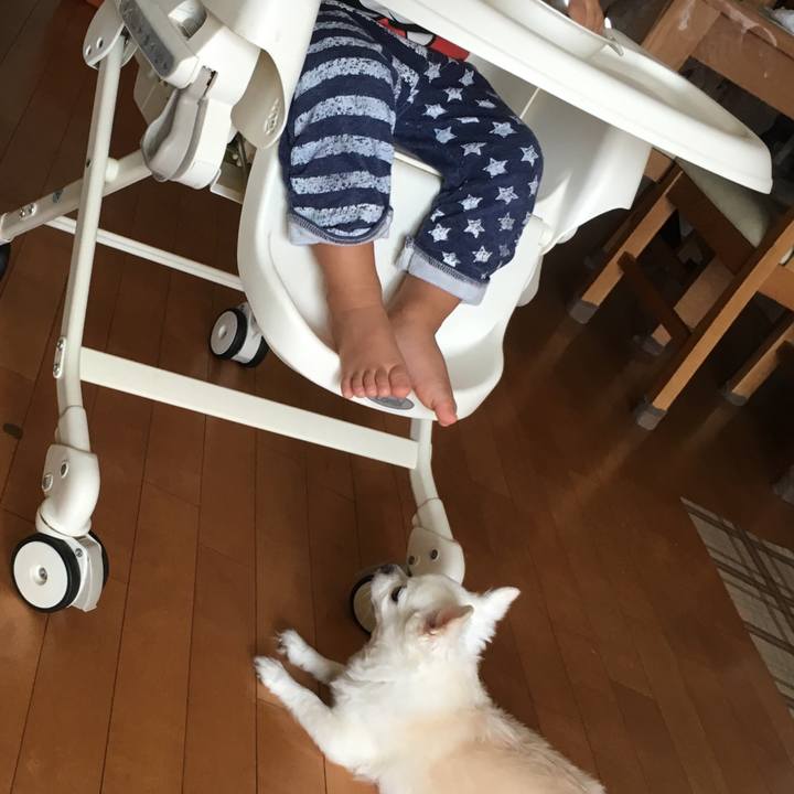 4483f4e7 1842 43a7 814f 95fcbe6de88d