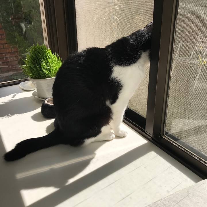 44840a29 b743 4600 bdc9 2375b496442d