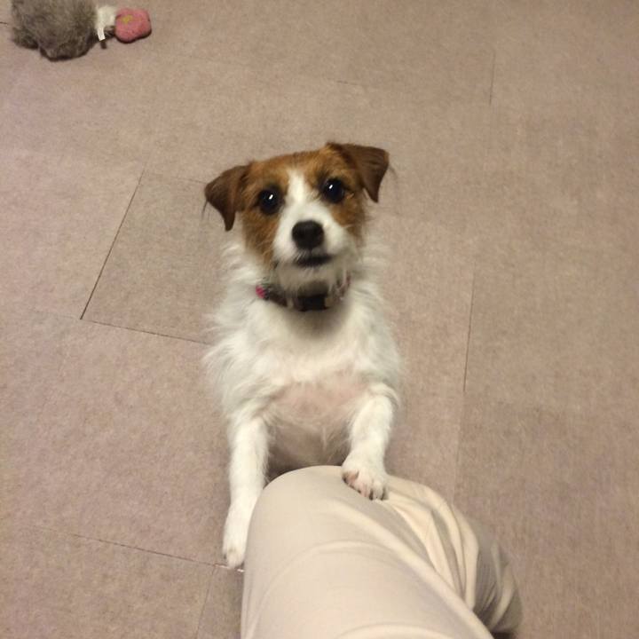 44845429 b5b9 4af4 a5c4 d858f9b42437