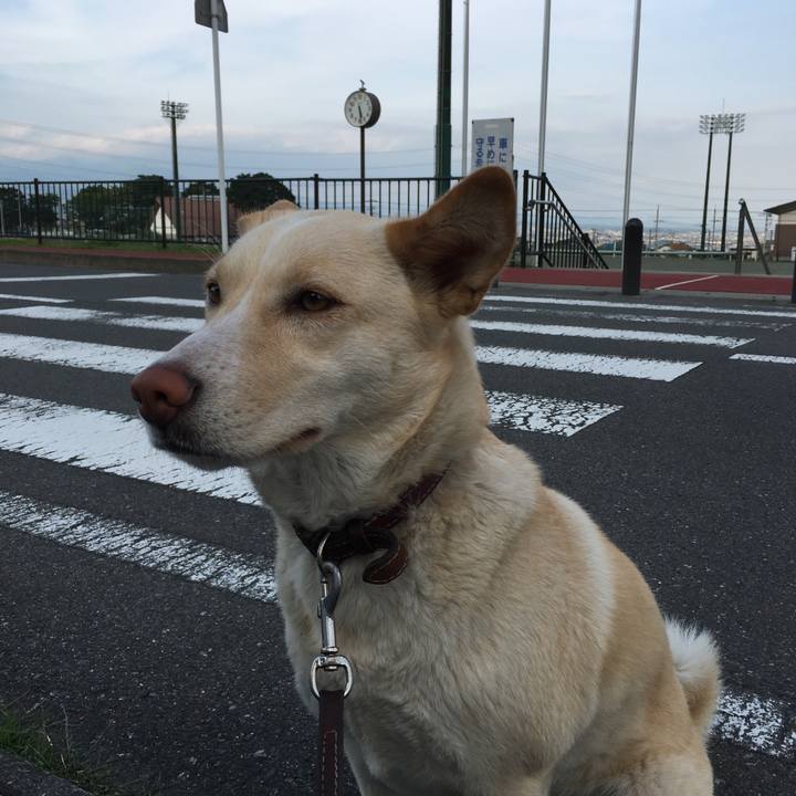 4484612a 292e 4cd1 9a22 8aa21c220164