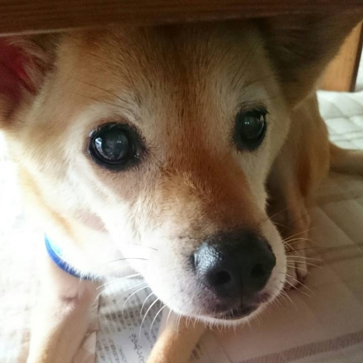 44858149 6074 4956 868c c3da21d40890